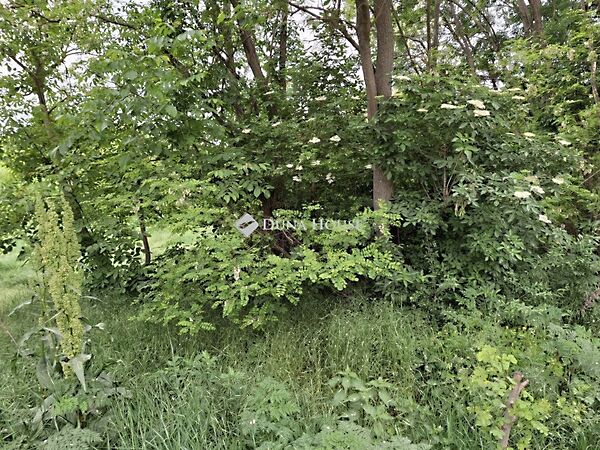 Eladó földterület Vértesacsa