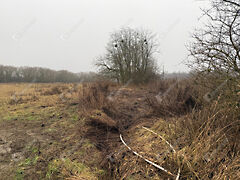 Eladó földterület Zalaegerszeg