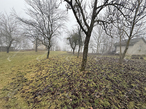 Eladó földterület Gyűrűs