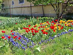 Eladó ház Tótvázsony