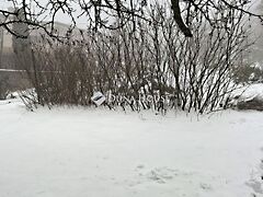 Eladó földterület Budapest, III. kerület