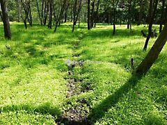 Eladó földterület Felcsút