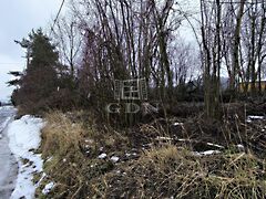 Eladó földterület Dunabogdány