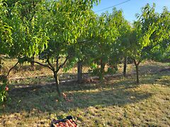 Eladó földterület Kaposvár, Észak-Nyugati városrész