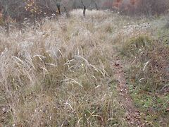 Eladó földterület Sümeg