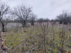 Eladó földterület Röszke