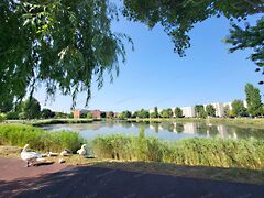 Eladó lakás Győr, Szabadhegy