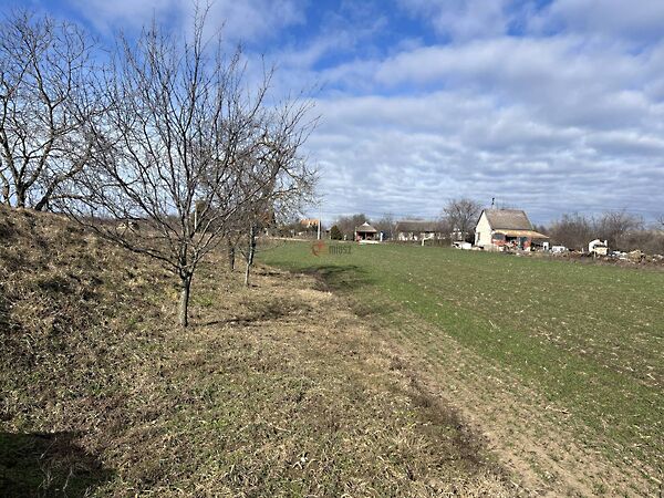 Eladó földterület Polgárdi