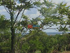 Eladó földterület Pákozd