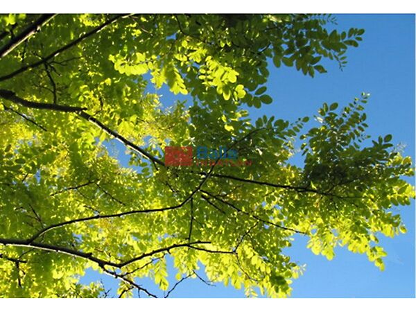 Eladó földterület Sárszentlőrinc