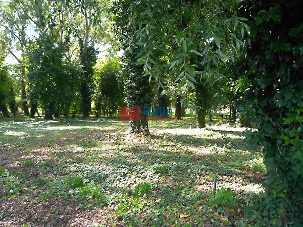 Eladó földterület Kerepes