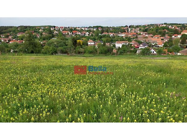 Eladó földterület Berkenye
