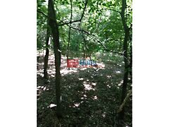 Eladó földterület Dunaharaszti