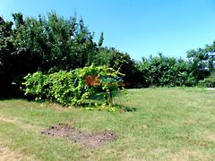 Eladó földterület Tordas