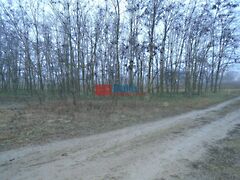 Eladó földterület Tiszakécske