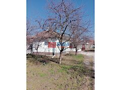 Eladó ház Halásztelek