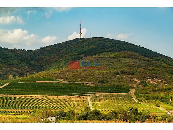Eladó földterület Tokaj