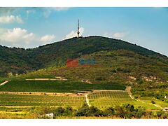 Eladó földterület Tokaj