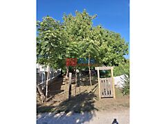 Eladó földterület Budapest, XVI. kerület