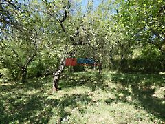 Eladó földterület Pilisborosjenő