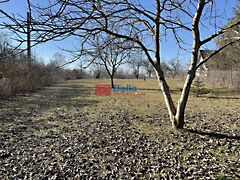 Eladó földterület Balatonfőkajár