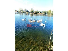 Eladó nyaraló Délegyháza