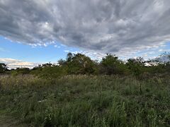 Eladó földterület Alsónémedi