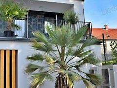 Eladó lakás Nemesvámos