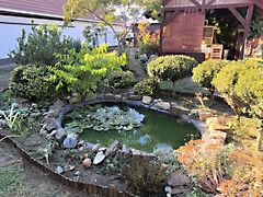 Eladó ház Tápiószecső