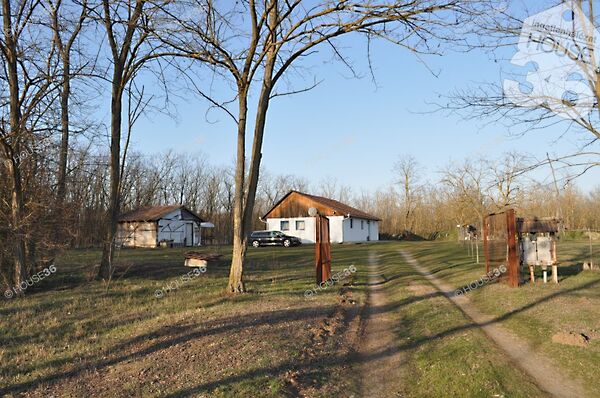 Eladó ház Nyárlőrinc