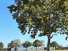 Eladó földterület Zamárdi