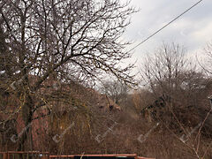 Eladó földterület Kiskutas