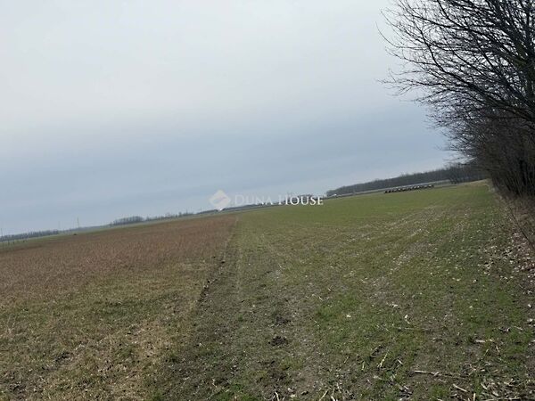 Eladó földterület Tét