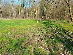 Eladó földterület Kehidakustány