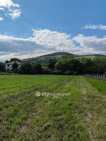 Eladó földterület Tokaj