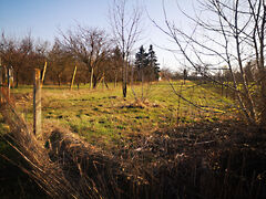 Eladó földterület Gyula