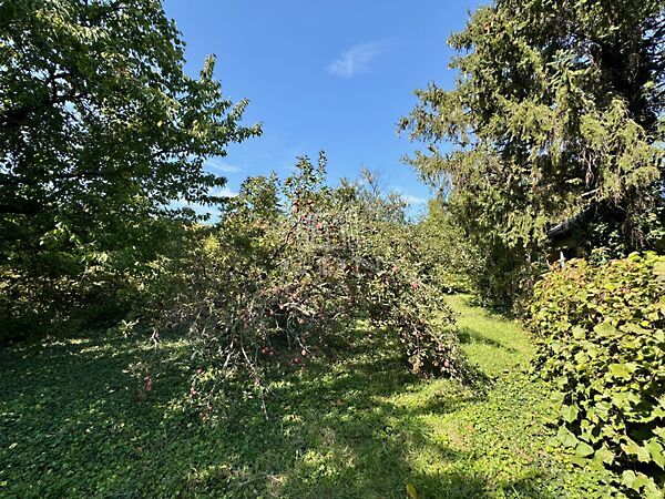 Eladó földterület Diósd