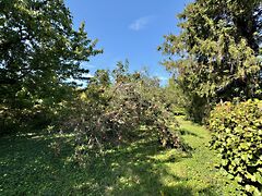 Eladó földterület Diósd