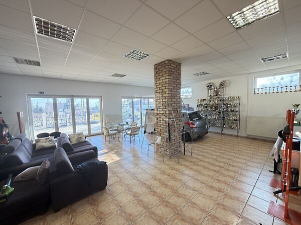 Eladó üzleti Diósd