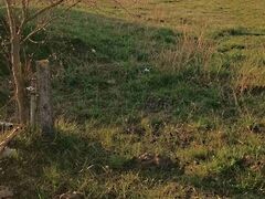 Eladó földterület Söréd