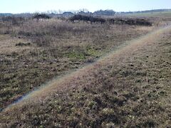 Eladó földterület Veszprém