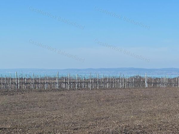 Eladó földterület Balatonvilágos
