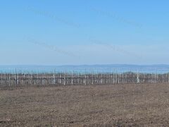 Eladó földterület Balatonvilágos