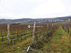 Eladó földterület Nadap