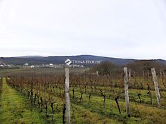 Eladó földterület Nadap