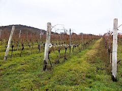 Eladó földterület Nadap