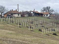 Eladó nyaraló Zalaszabar