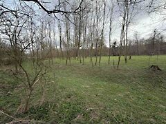 Eladó földterület Jásd