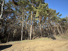 Eladó földterület Debrecen