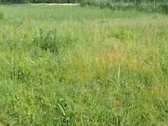 Eladó földterület Siófok